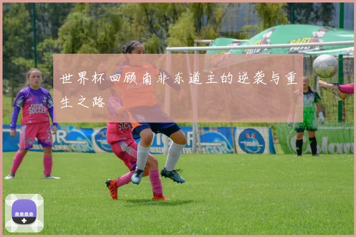 世界杯回顾南非东道主的逆袭与重生之路