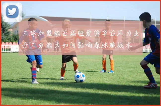 三球加盟能否减轻爱德华兹压力麦丹三分能力如何影响森林狼战术