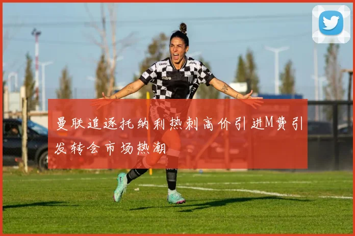 曼联追逐托纳利热刺高价引进M费引发转会市场热潮